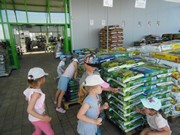 Celodenní výlet Mnichovo Hradiště